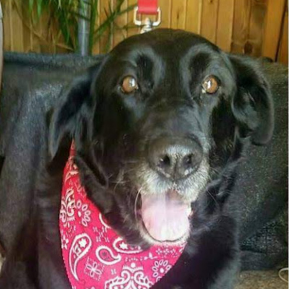 Meet your Posher, Scott - Picture 1 of 1